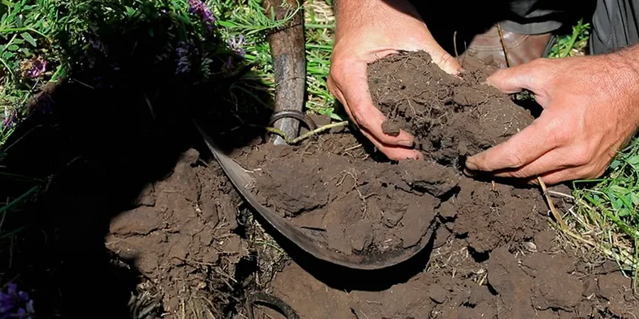 Illustrative image of Organic soil management in Boise
